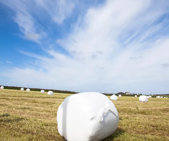 Plastiques agricoles