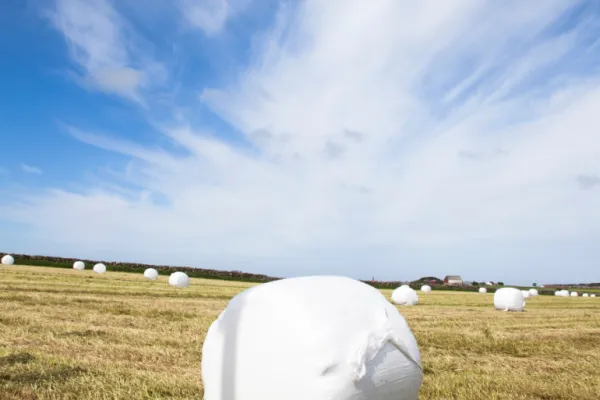 Plastiques agricoles