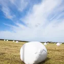 Plastiques agricoles