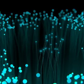 Le projet collectif de fibre optique va de l’avant!