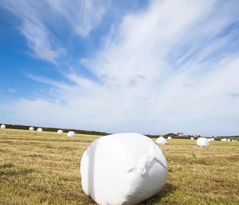 Plastiques agricoles